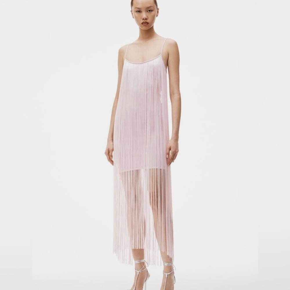 Alexander Wang Dress - Picture 6 of 7